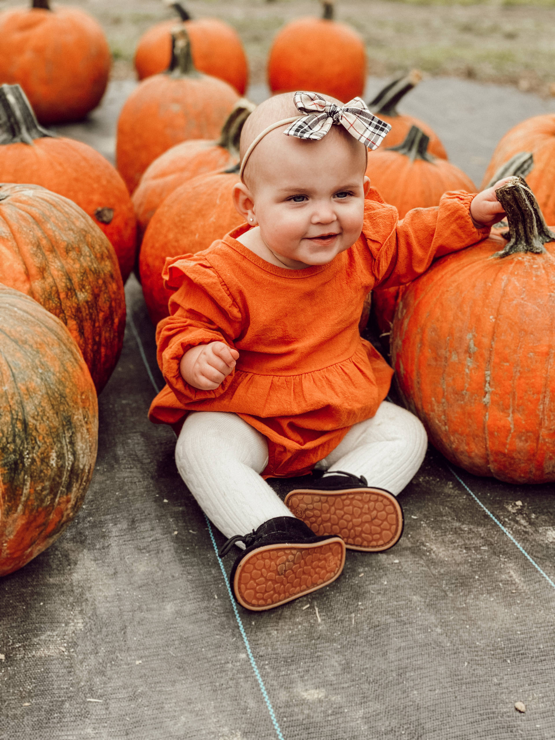 How To Go Apple Or Pumpkin Picking The Right Way | Fall Activities For ...