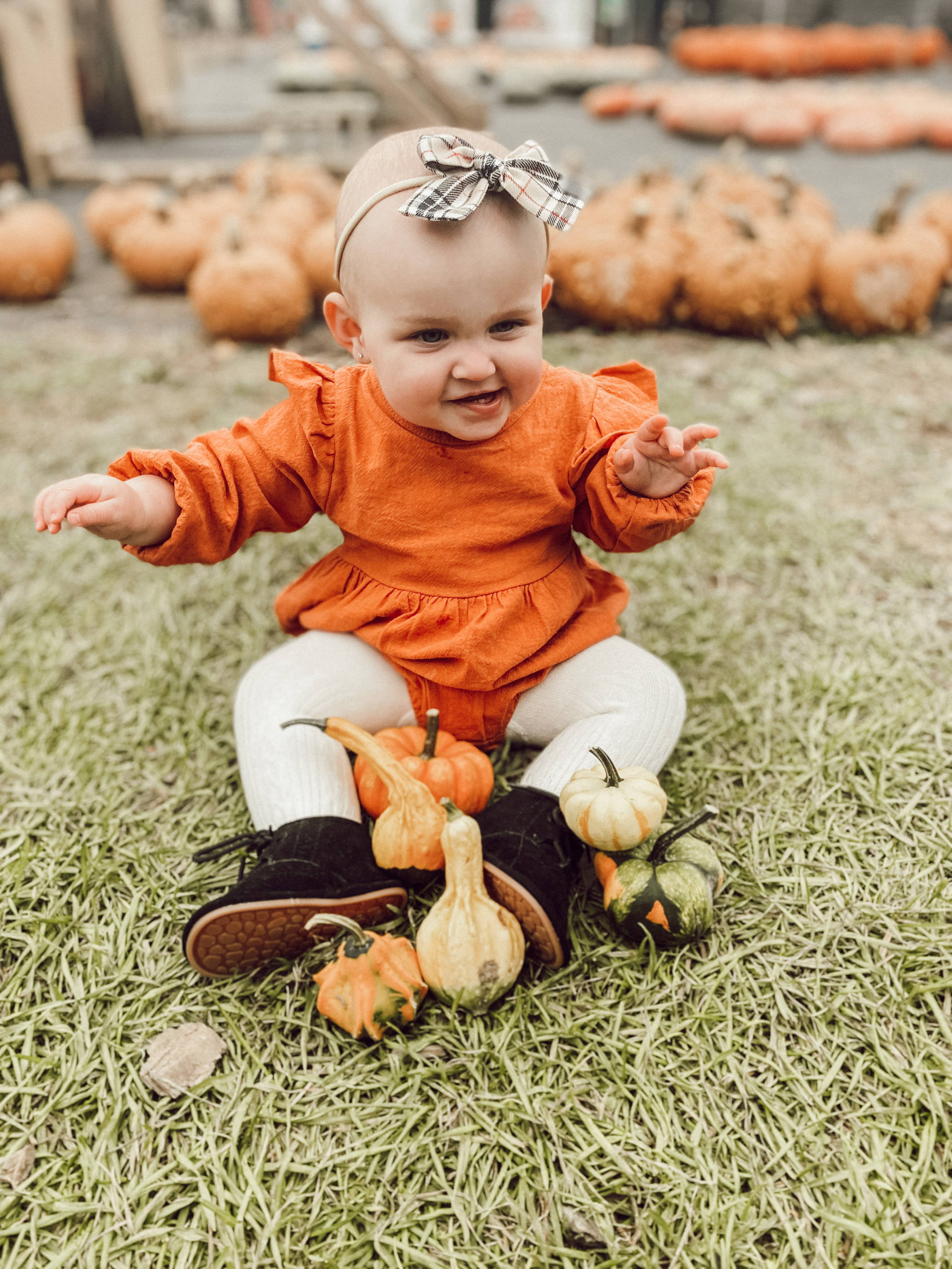 How To Go Apple Or Pumpkin Picking The Right Way | Fall Activities For ...