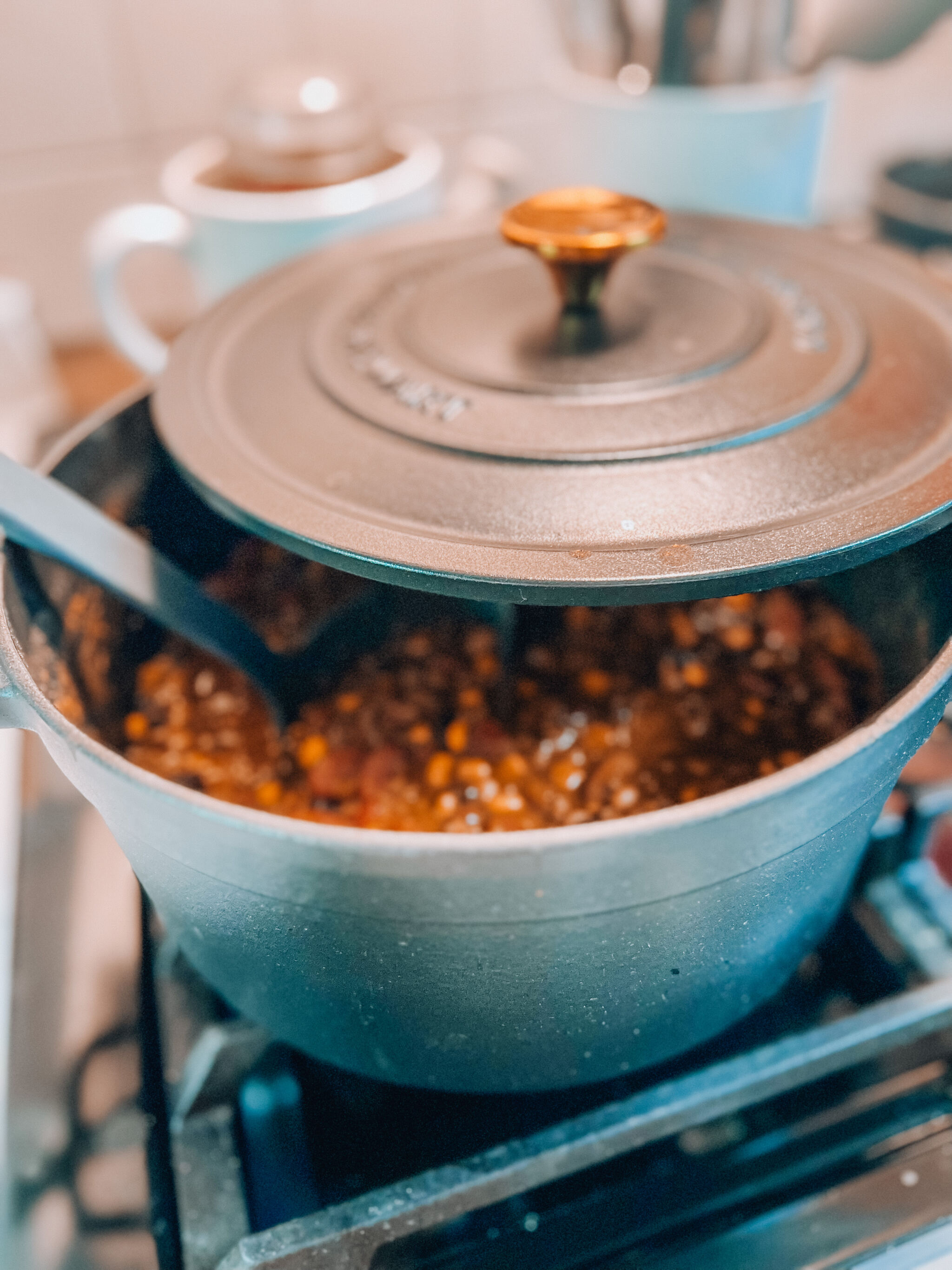 Beginners Guide: Simple 30 Minute Homemade Chili